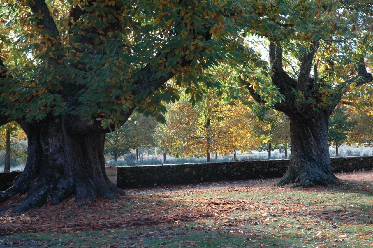 La Era De Sanabria Βίλα Villarino de Sanabria Εξωτερικό φωτογραφία