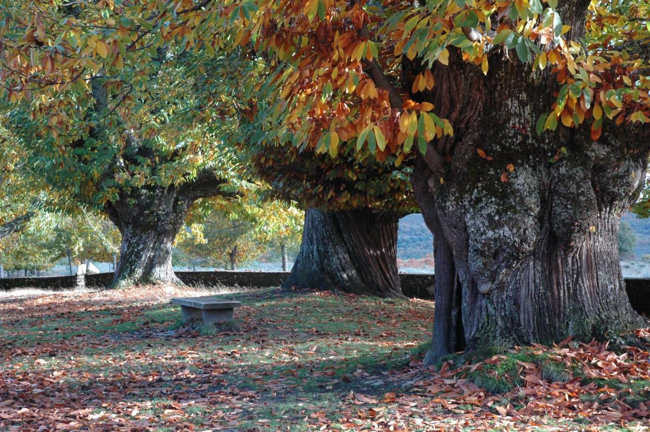 La Era De Sanabria Βίλα Villarino de Sanabria Εξωτερικό φωτογραφία