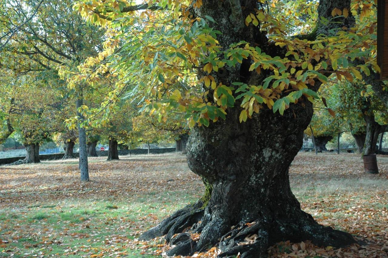 La Era De Sanabria Βίλα Villarino de Sanabria Εξωτερικό φωτογραφία